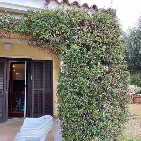 Tavolara Paradise Home Porto San Paolo  Exteriör bild