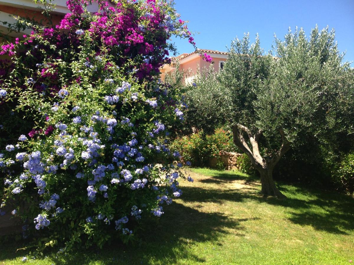 Tavolara Paradise Home Porto San Paolo  Exteriör bild