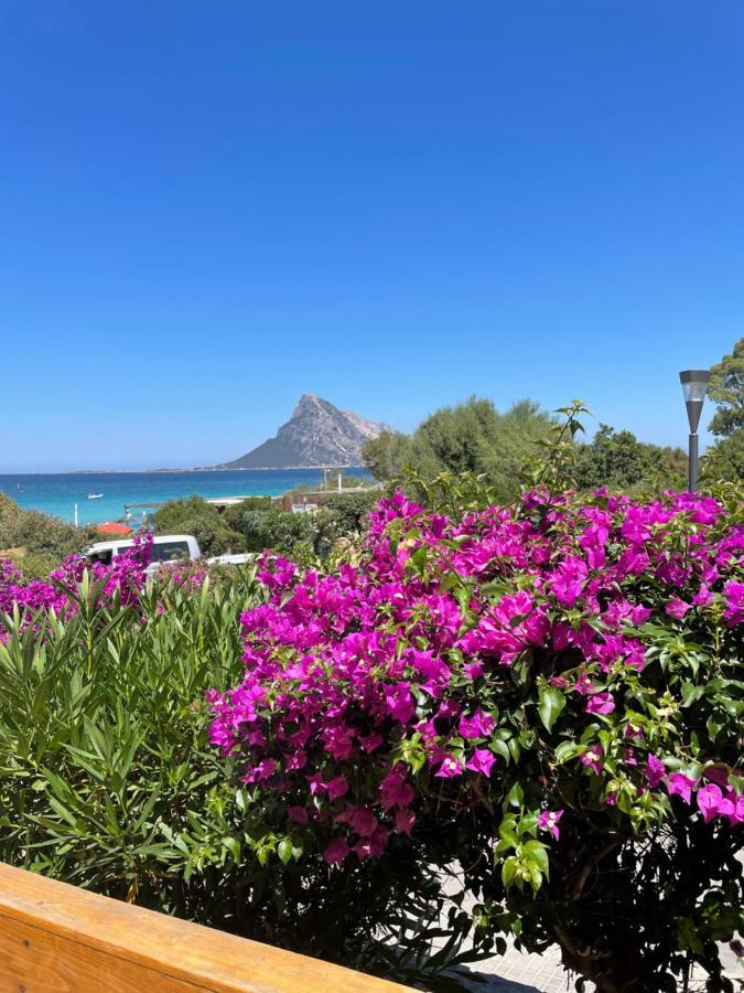 Tavolara Paradise Home Porto San Paolo  Exteriör bild