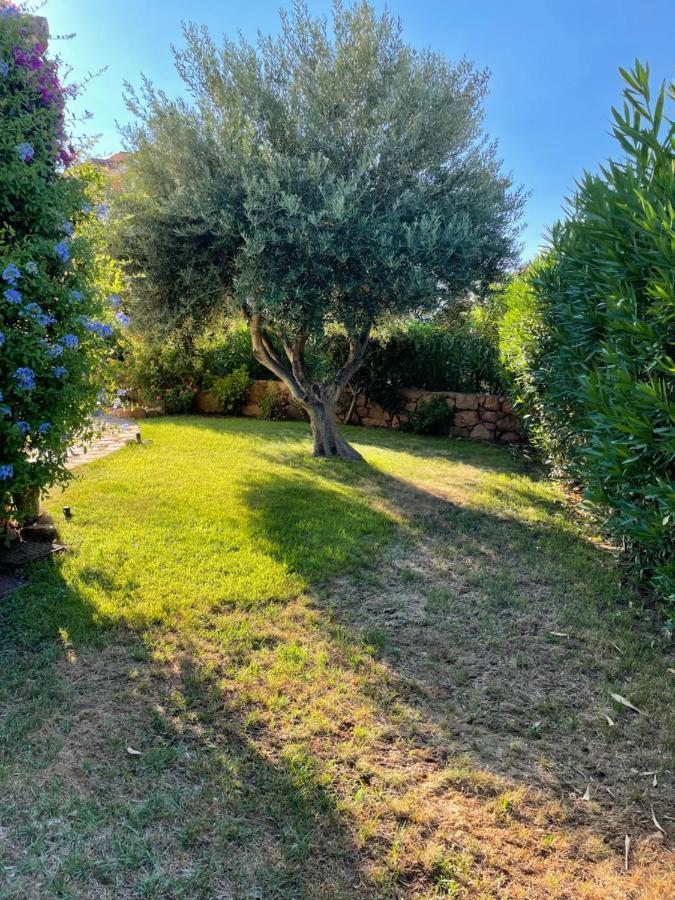 Tavolara Paradise Home Porto San Paolo  Exteriör bild